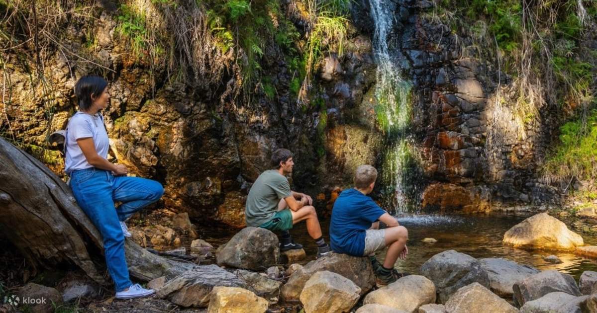 Hiking tour deals near me